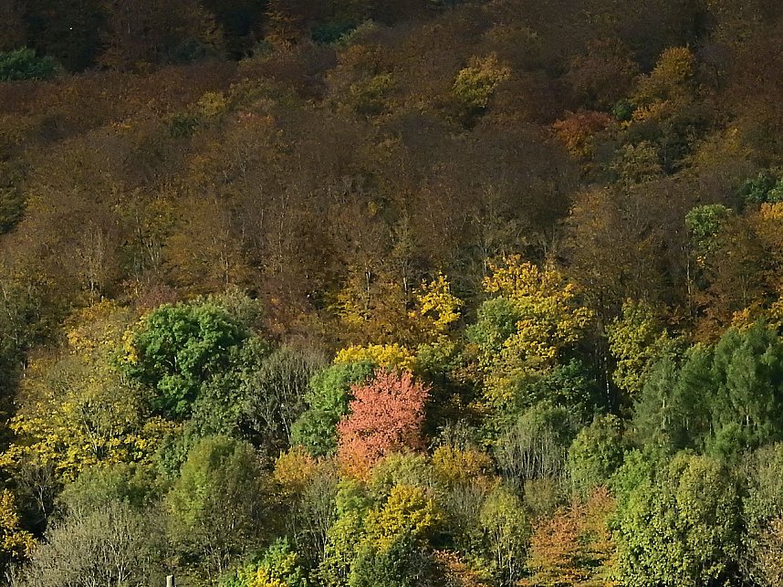 Unterwegs in Sophienhof