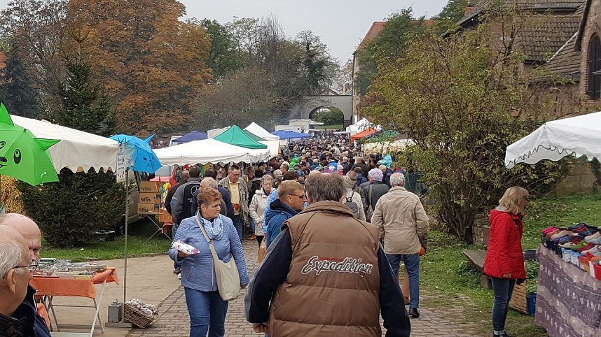 Bauernmarkt in Braunsroda