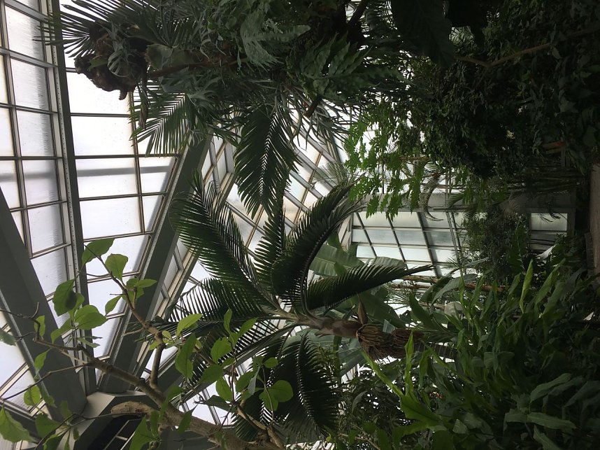 Abschlussfahrt mit Brauer Reisen