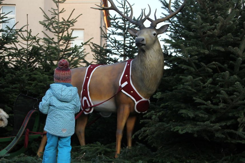 Weihnachtsmarkt am Nordh&auml;user Theater er&ouml;ffnet