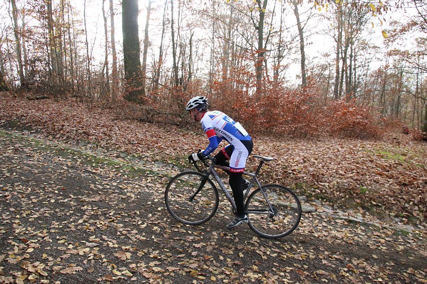 Querfeldein durchs Nordh&auml;user Gehege