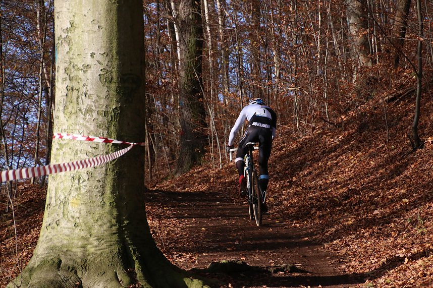 Querfeldein durchs Nordh&auml;user Gehege
