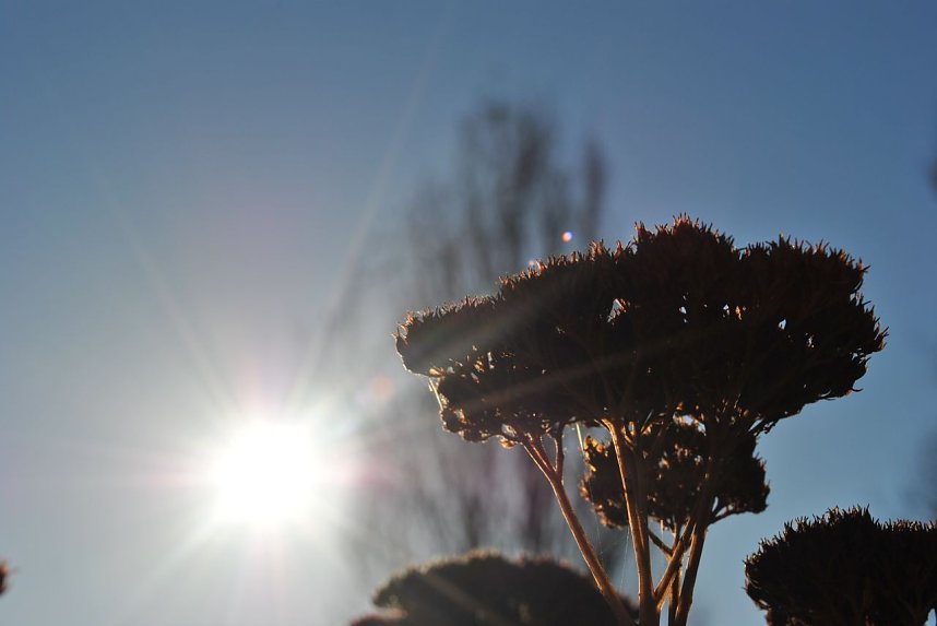 Interessanter Projekttag