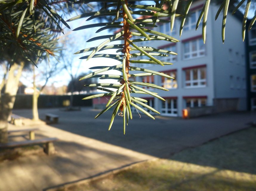 Interessanter Projekttag