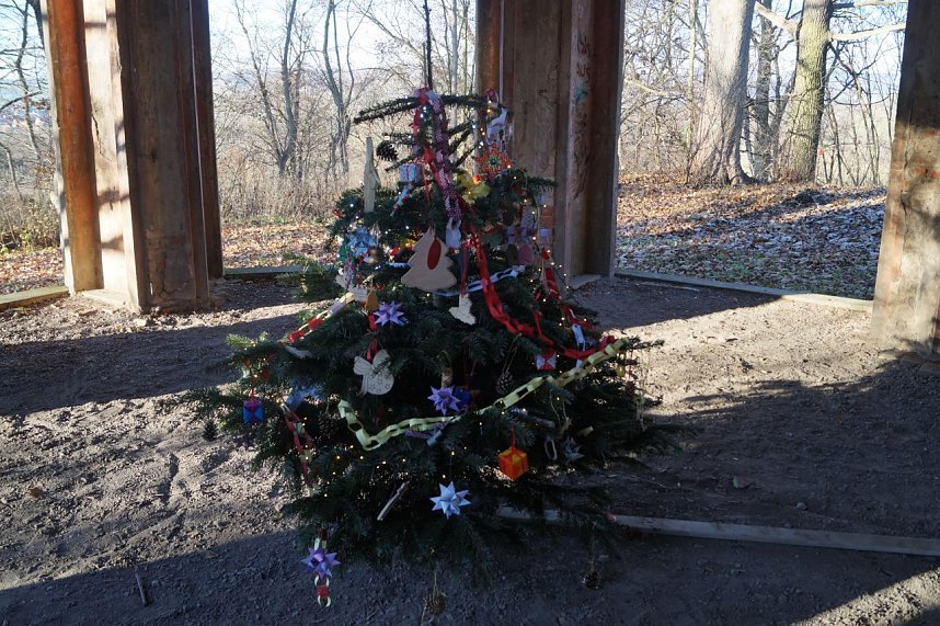 Advent im Park Hohenrode