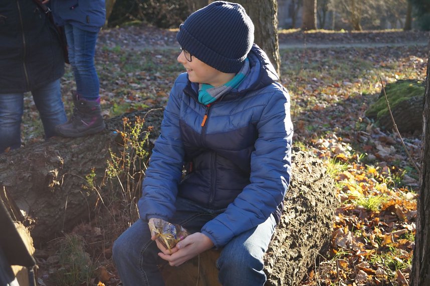 Advent im Park Hohenrode