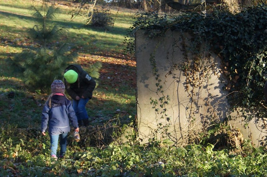 Advent im Park Hohenrode