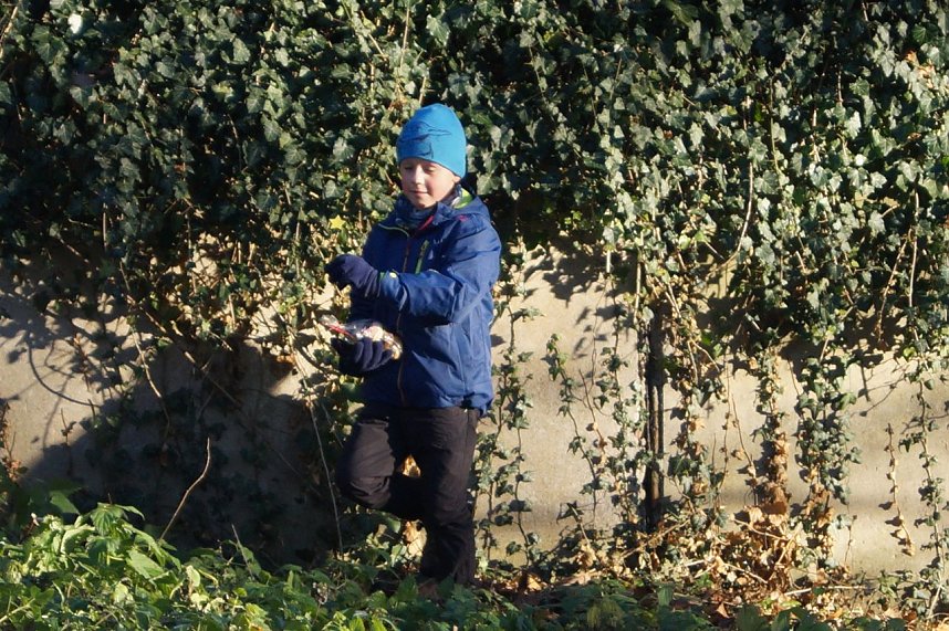 Advent im Park Hohenrode