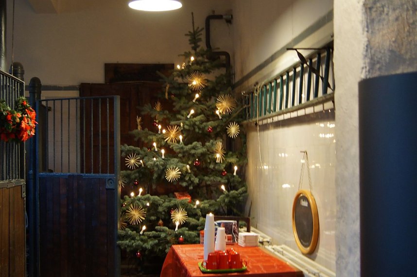 Advent im Park Hohenrode