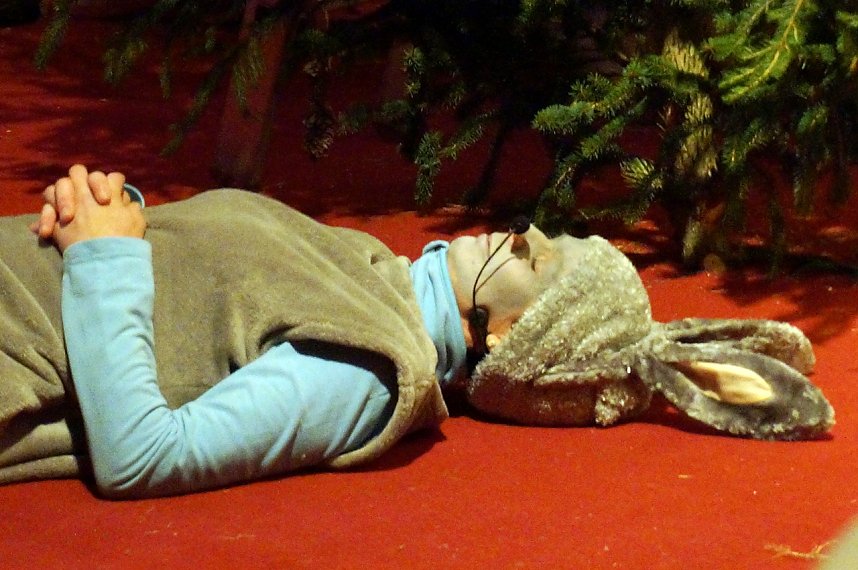 Weihnachtszauber in Osterode