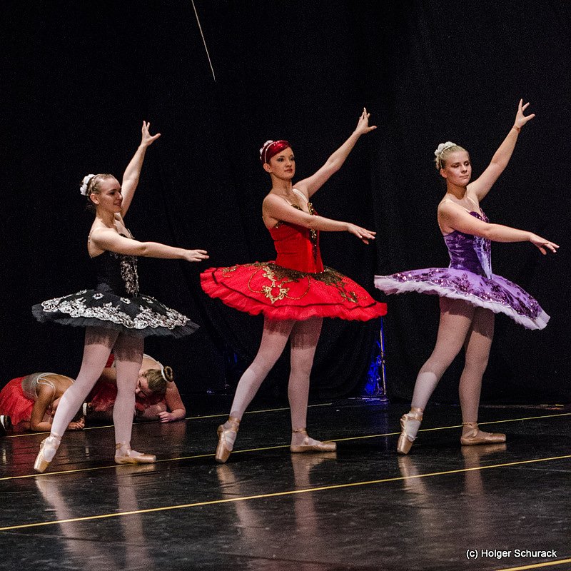 Die Sch&ouml;ne und das Biest ein Ballettm&auml;rchen.