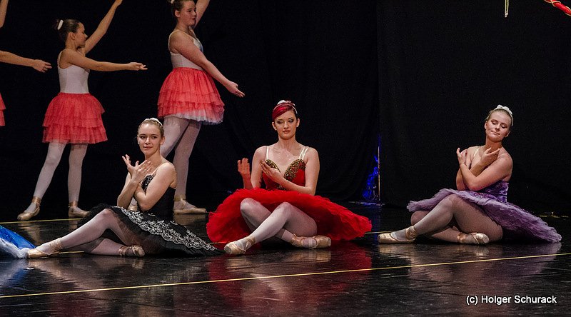 Die Sch&ouml;ne und das Biest ein Ballettm&auml;rchen.