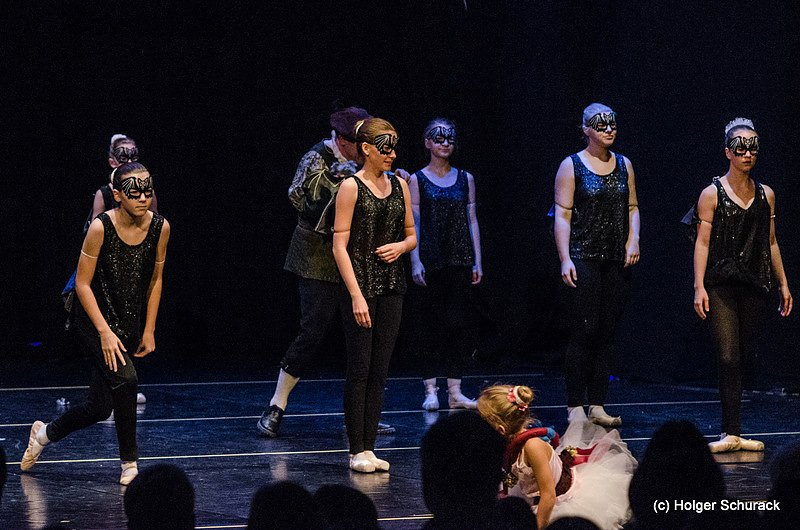 Die Sch&ouml;ne und das Biest ein Ballettm&auml;rchen.