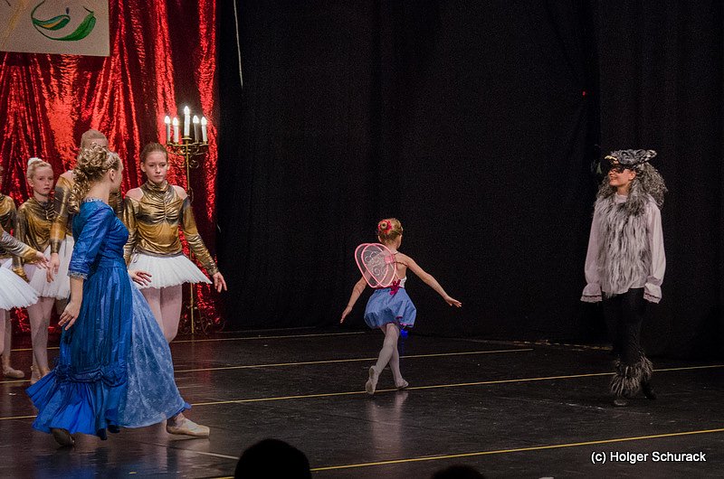 Die Sch&ouml;ne und das Biest ein Ballettm&auml;rchen.