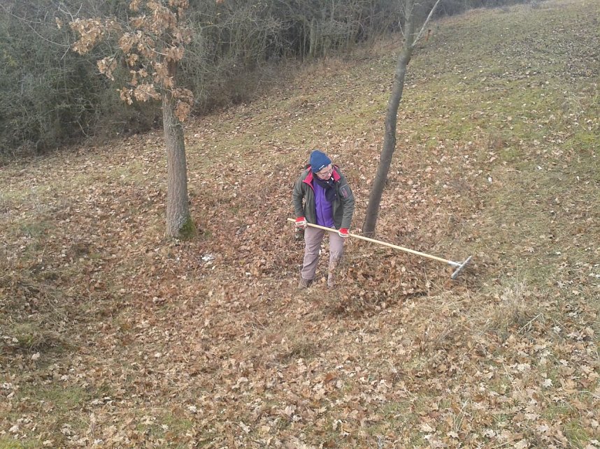 Einsatz f&uuml;r das Blasse Knabenkraut