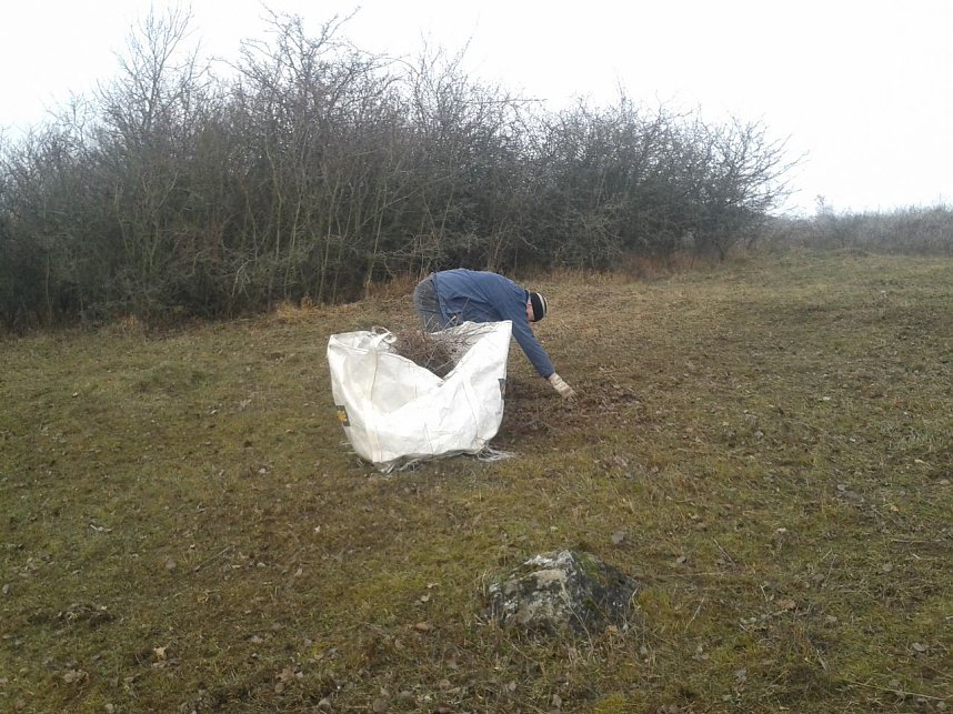 Einsatz f&uuml;r das Blasse Knabenkraut