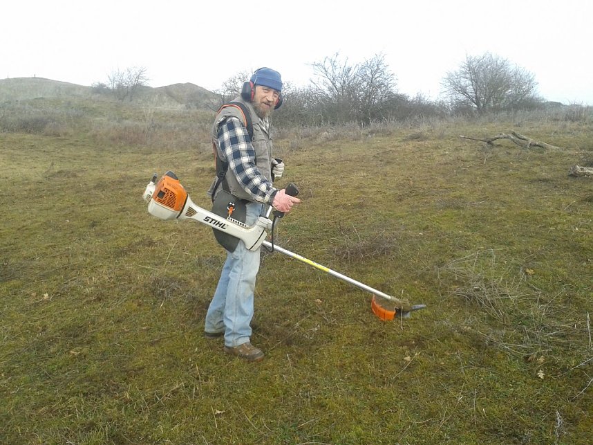 Einsatz f&uuml;r das Blasse Knabenkraut