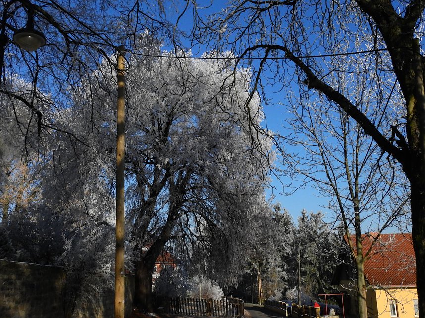 Ein Traum in Wei&szlig;