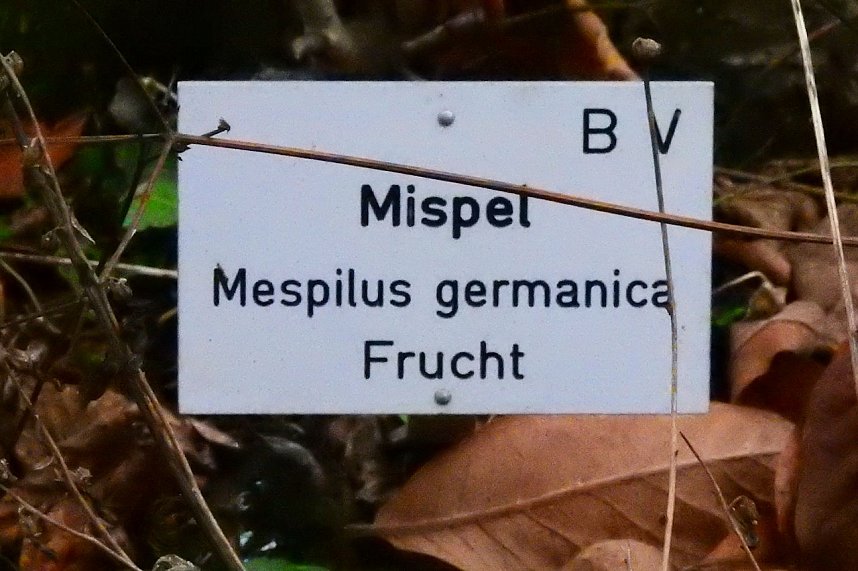 Peter Blei unterwegs im Kloster Michaelstein bei Blankenburg