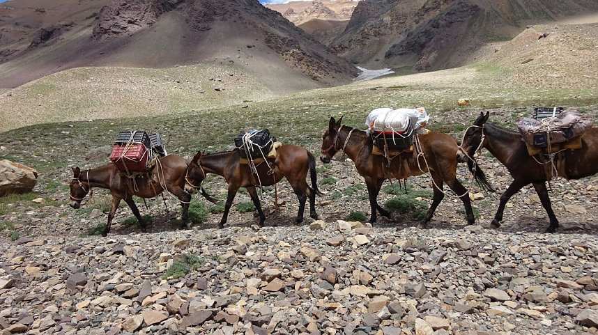 Ausflug zum Aconcagua