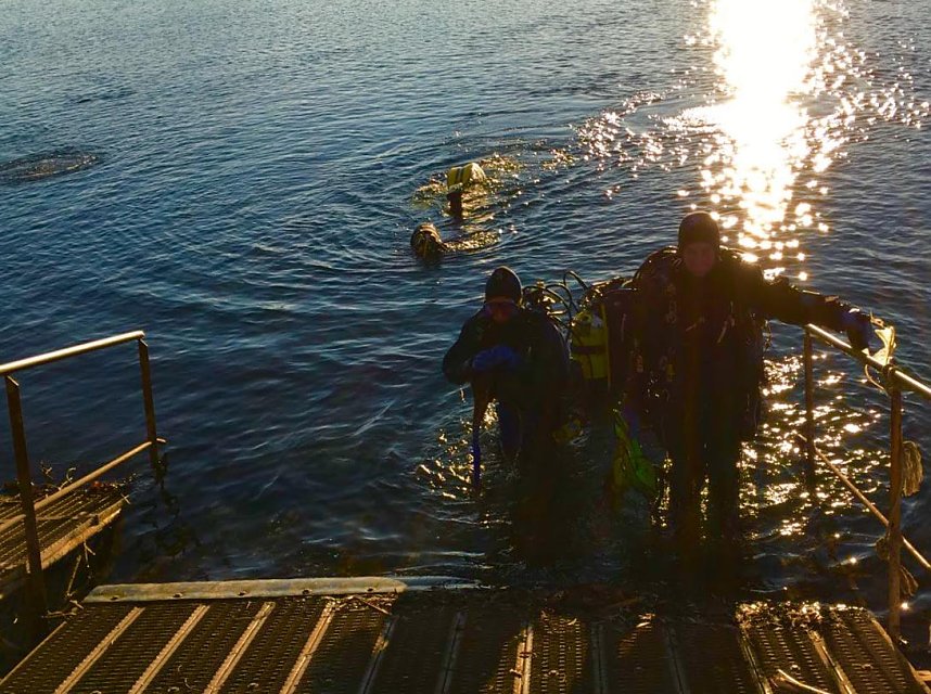 Jubil&auml;um beim Silvestertauchen