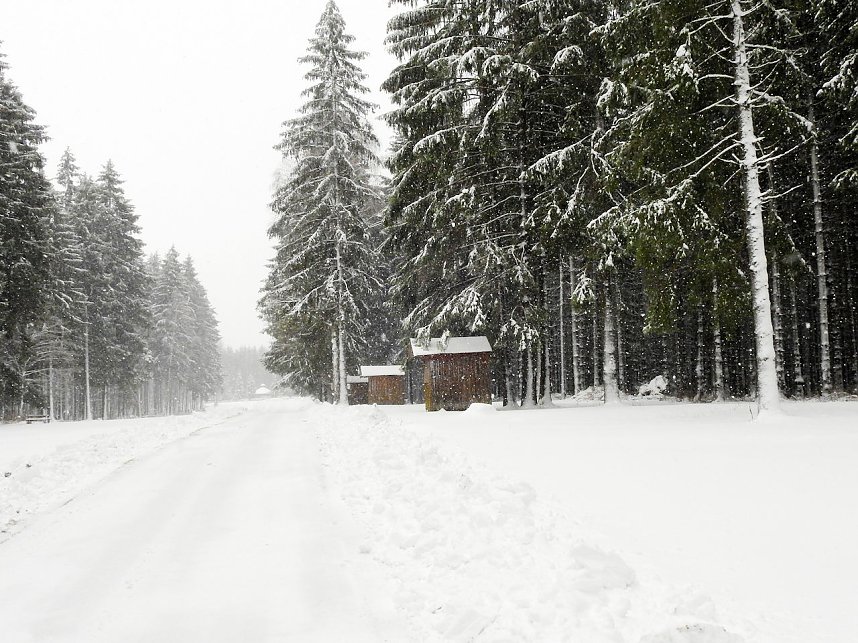 Unterwegs im winterlichen Harz