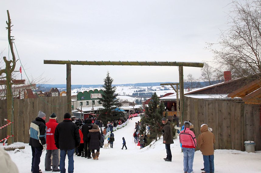 Schlittenhunderennen in Hasselfelde
