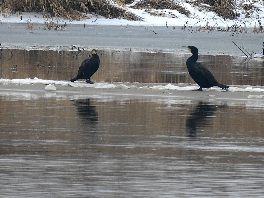 Peter Blei unterwegs am Wasser