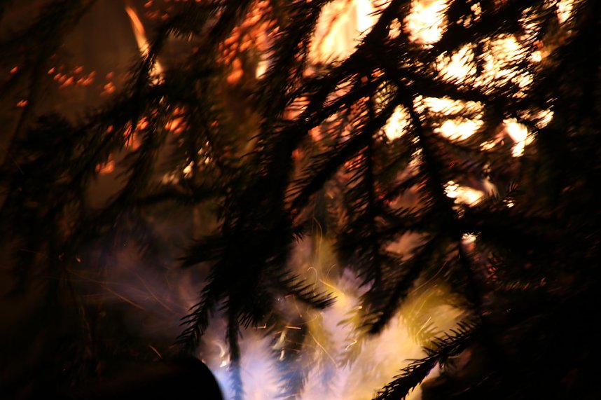 F&uuml;nftes Knutfest in Bielen