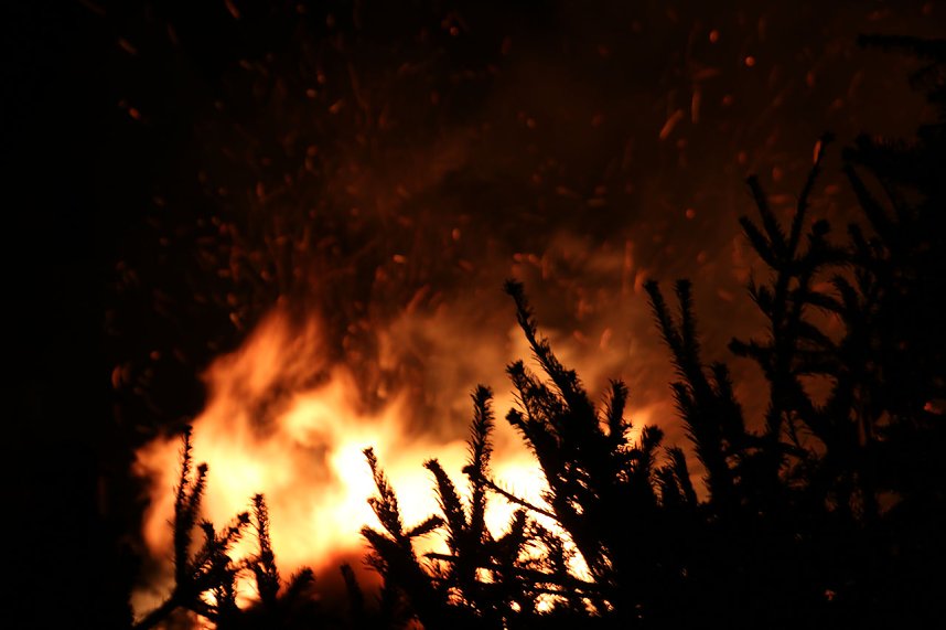 F&uuml;nftes Knutfest in Bielen