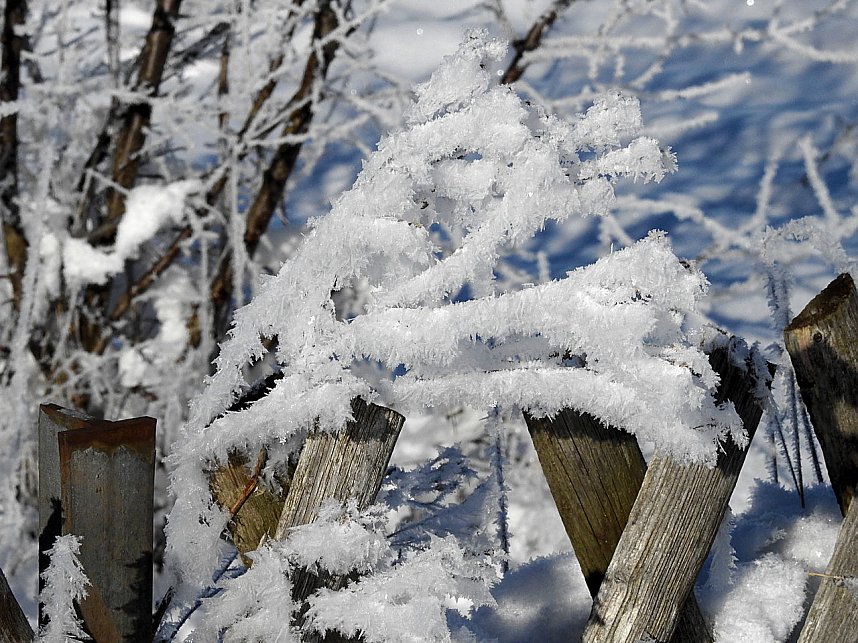 Spaziergang in Rotacker