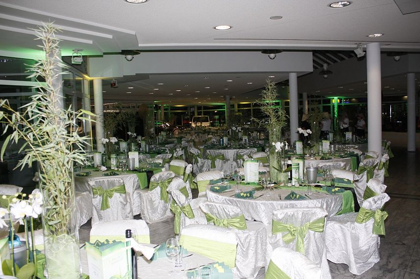 &Auml;rzte- und Apothekerball 2017