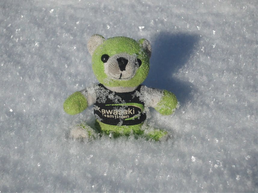 Fahrt in den S&uuml;dharz: Der Kawasaki B&auml;r spielt im Schnee beim Bahnhof Eisfelder Talm&uuml;hle