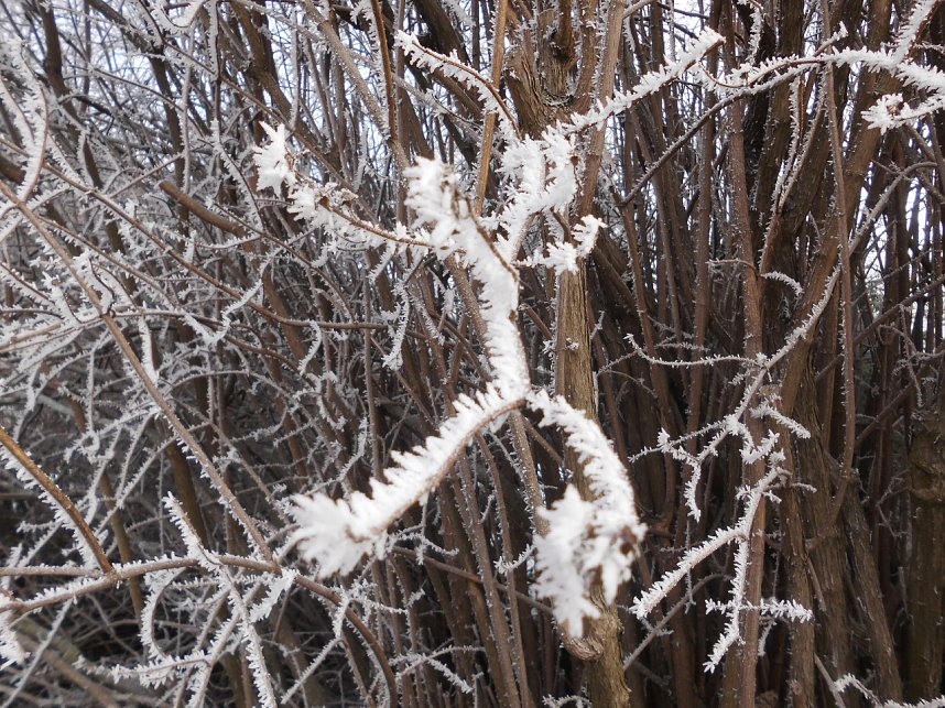 Winterzauber in der Hesser&ouml;der Stra&szlig;e
