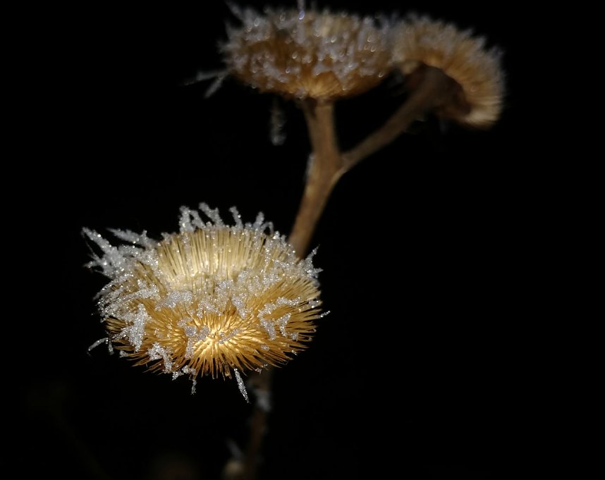Kleines ganz gro&szlig;