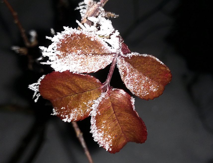 Kleines ganz gro&szlig;