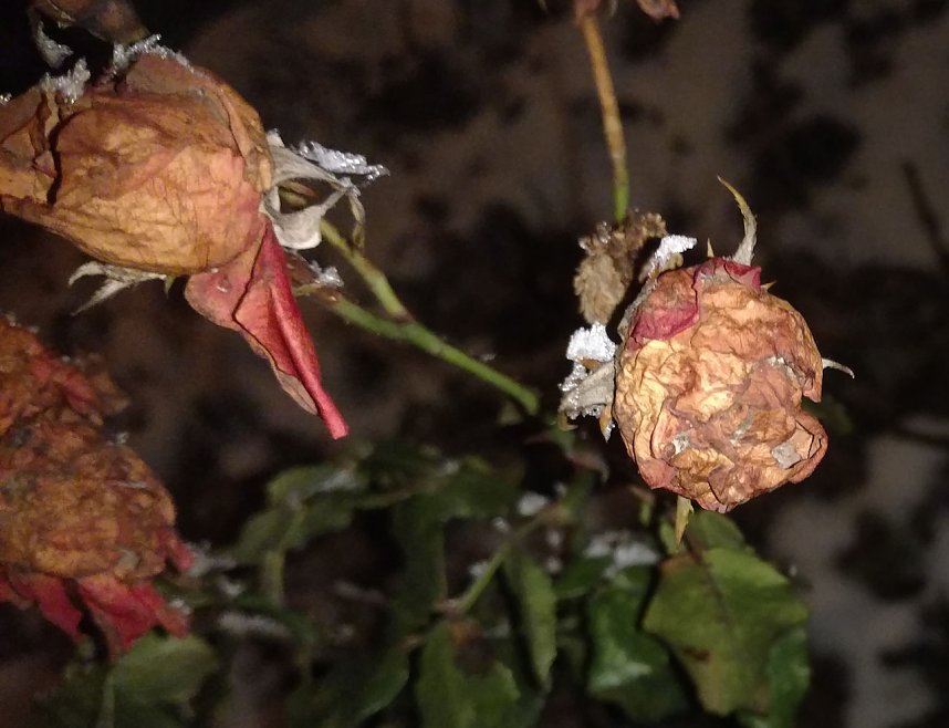 Kleines ganz gro&szlig;