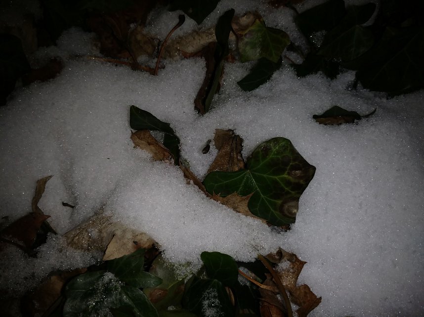 Kleines ganz gro&szlig;