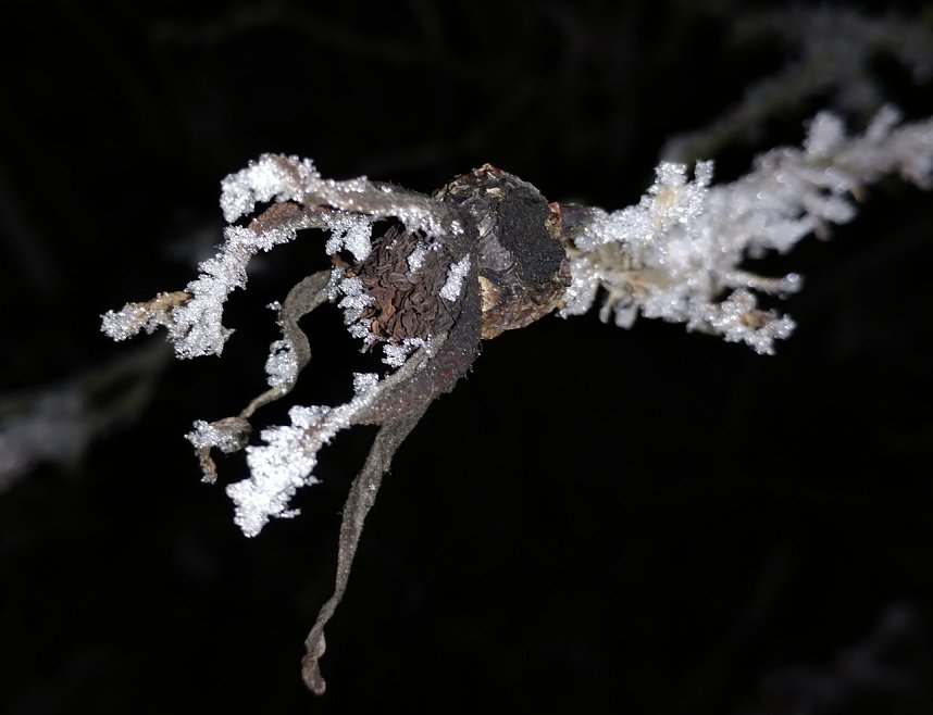 Kleines ganz gro&szlig;