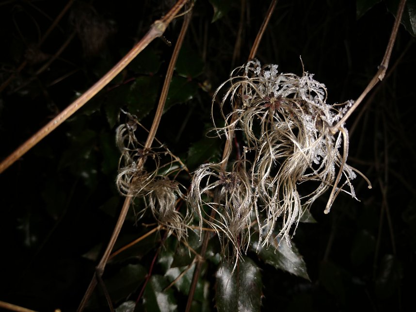 Kleines ganz gro&szlig;