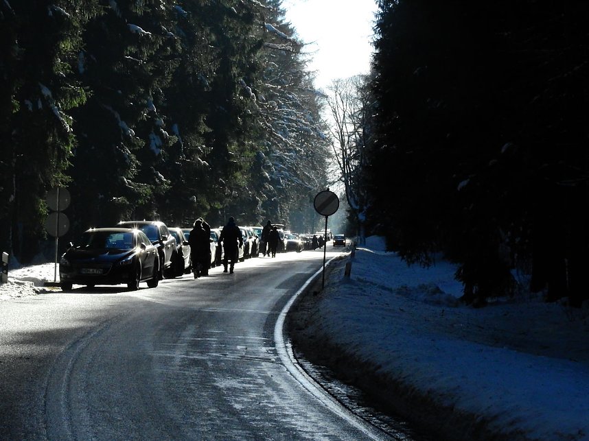 Schlittenhunderennen in Benneckenstein
