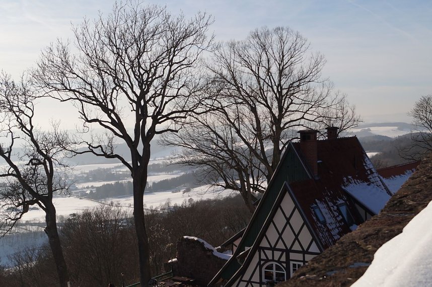 Winter auf der Ruine