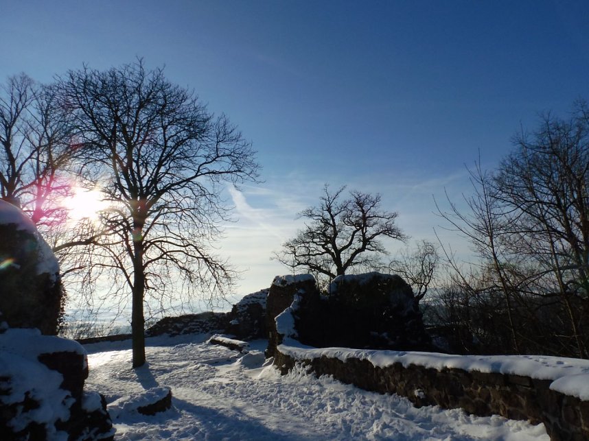 Winter auf der Ruine