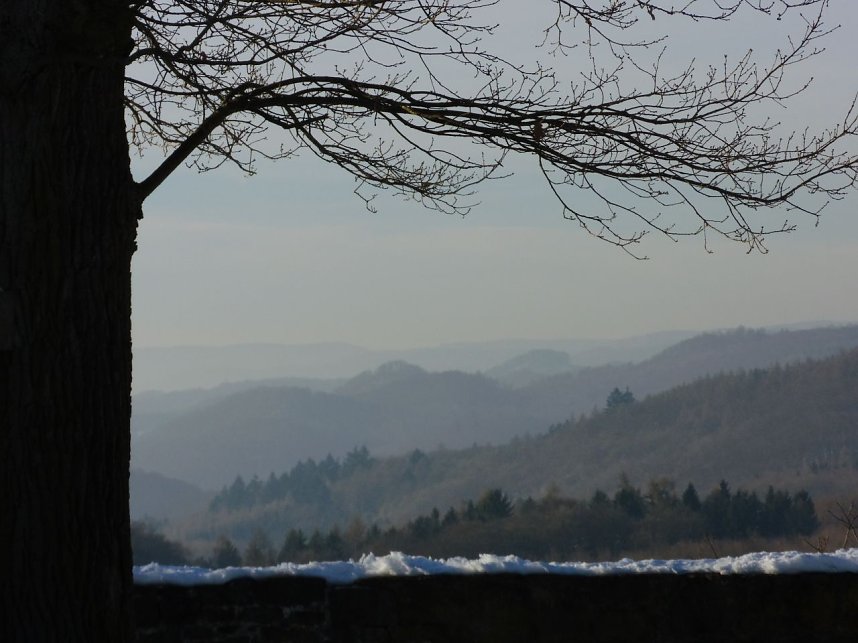 Winter auf der Ruine
