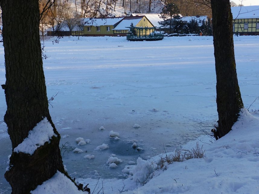 Winter auf der Ruine