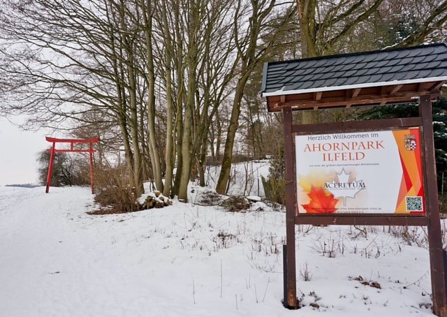 Taucher auf Winterwanderung