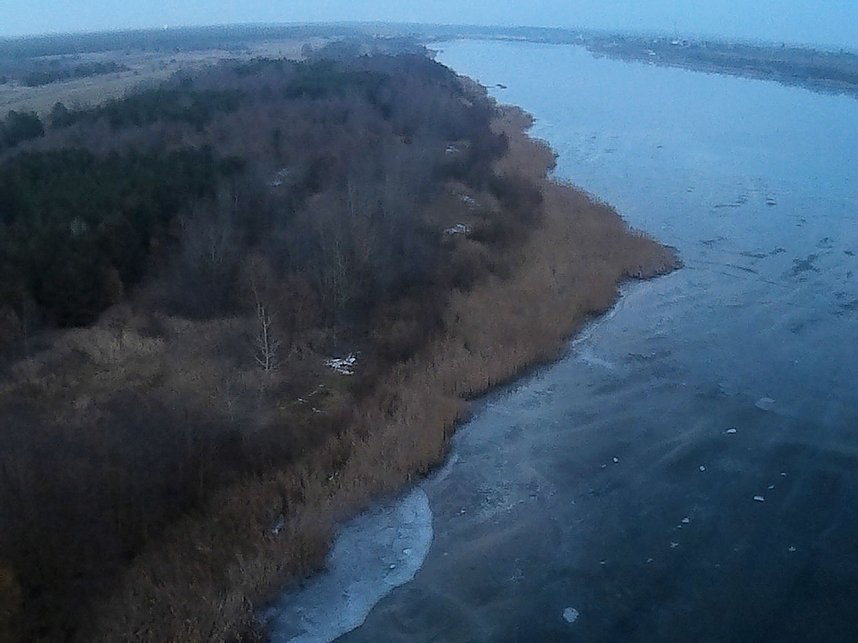 Wildg&auml;nse am K&ouml;ckernsee