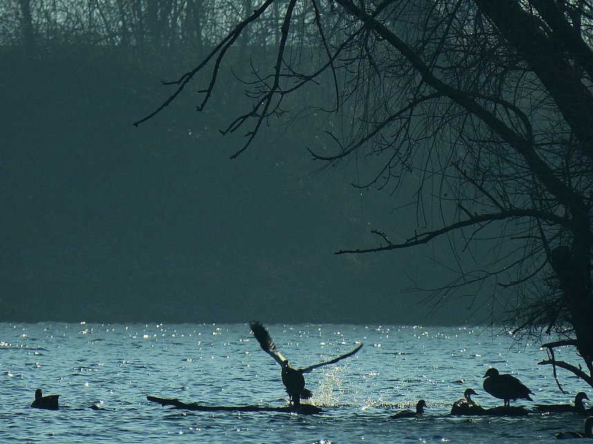 Sonnenbaden am Kiesschacht