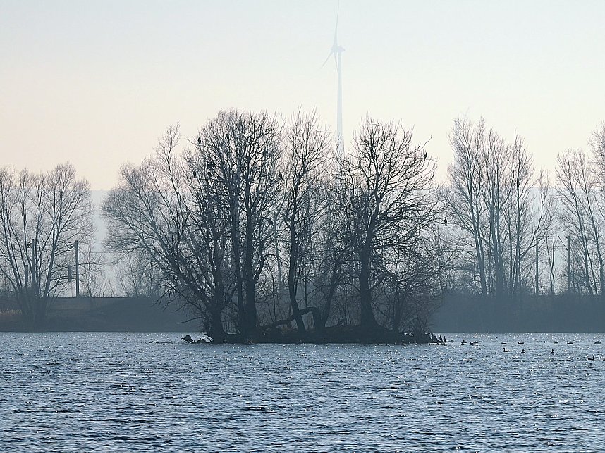 Sonnenbaden am Kiesschacht