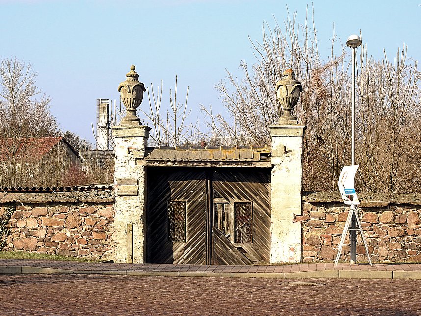 Winterlinge bei Schloss Ostrau